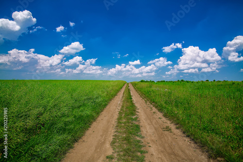 Summer landscape with green grass