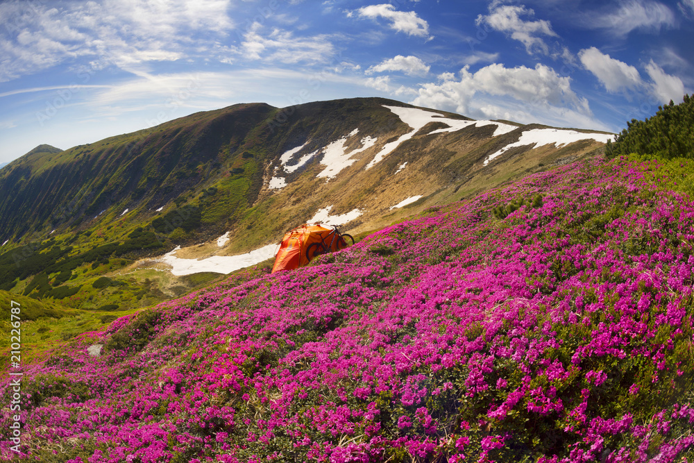 travel with flower carpathians travel with flower carpathians
