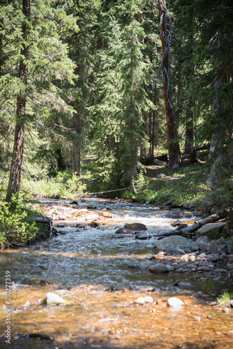 A river running through a forest near Vail, Colorado during summer. 