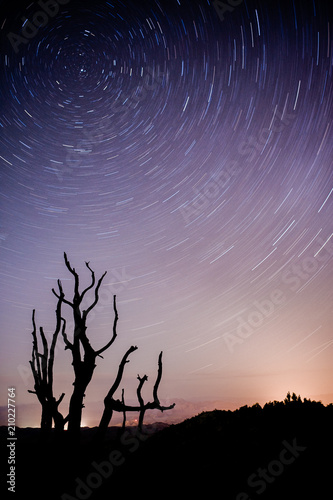 silhouettes under the night sky