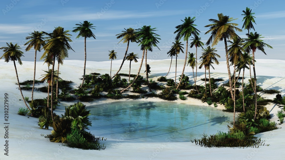 an oasis with palm trees in the sands, a desert with a pond,
3D rendering
