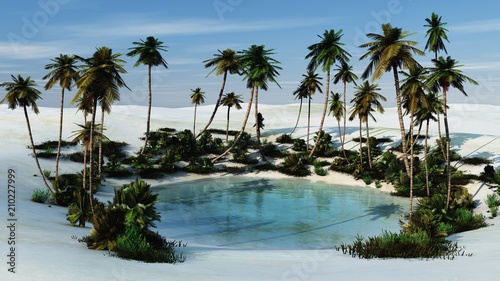 an oasis with palm trees in the sands, a desert with a pond, 3D rendering 