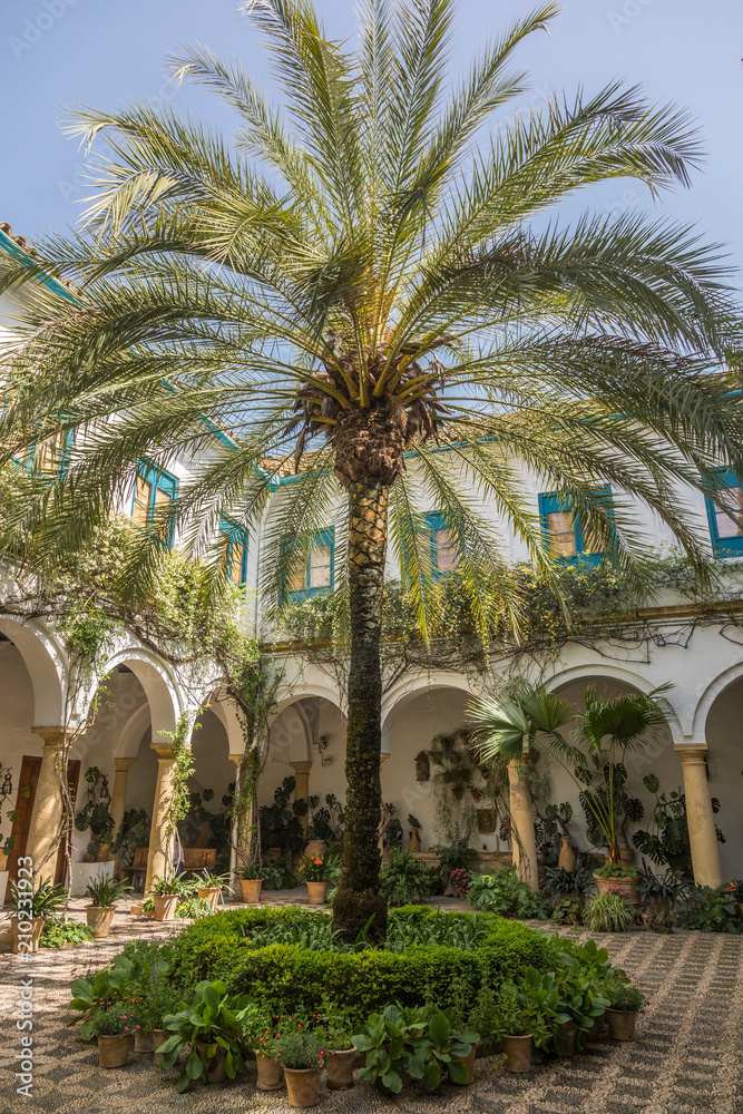 Palacio de Viana à Cordoue