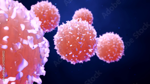 Cells, Cancer Cells, T Cells or Lymphocythes