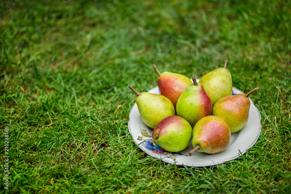 pears on the table pears on the table