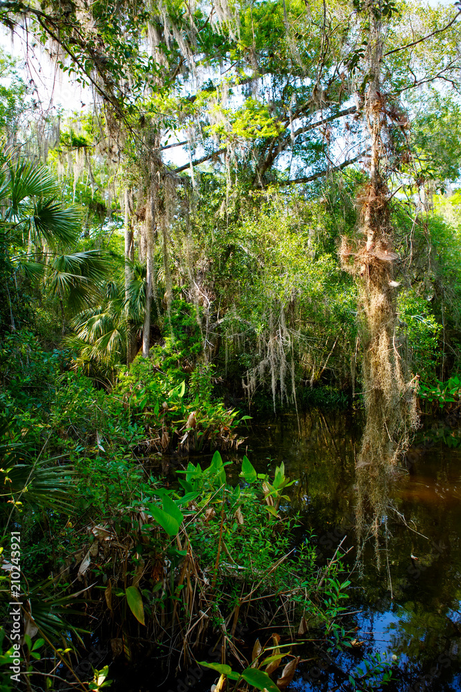 Florida wetland, wooden path trail at Everglades National Park in USA. Florida wetland, wooden path trail at Everglades National Park in USA.