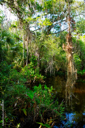 Florida wetland, wooden path trail at Everglades National Park in USA. © Irina Schmidt
