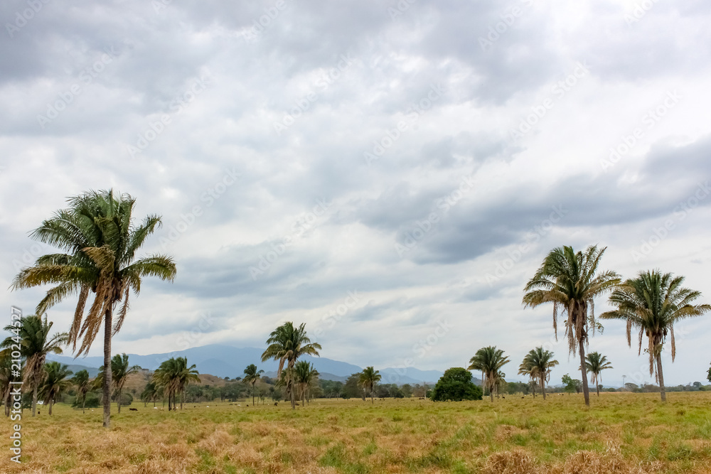 beautiful landscape and nature in venezuela