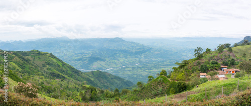 Panorama of coffee plantation in Jerico, Colombia in the state of Antioquia with the view of river Cauca in be background