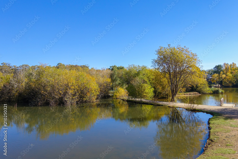 Dirt foothpath on a lake with beautiful trees and bushes on a sunny autumn day. Lake Daylesford, VIC Australia.