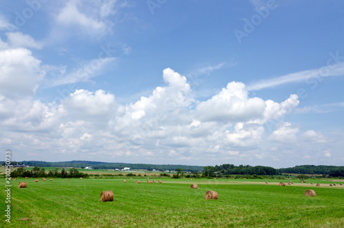 Farm field
