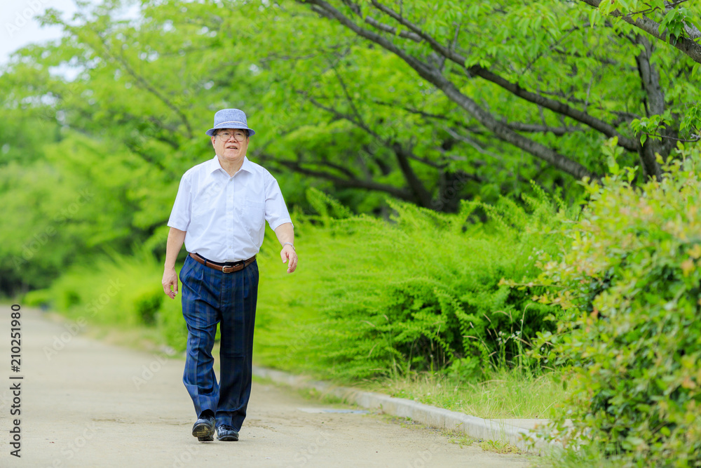 緑の中を散歩する高齢男性