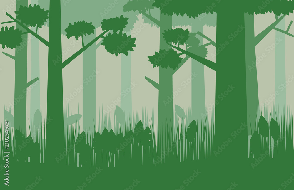 Obraz premium Forest background image