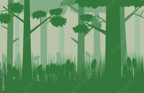 Forest background image