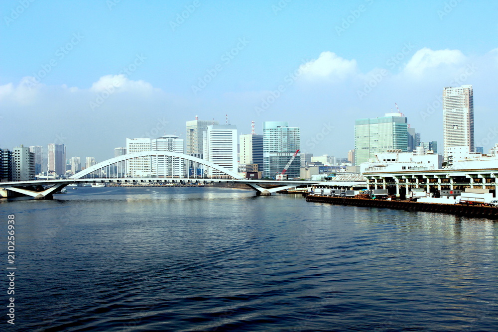 Tokyo building view from the kachidoki bridge, Tokyo, Japan