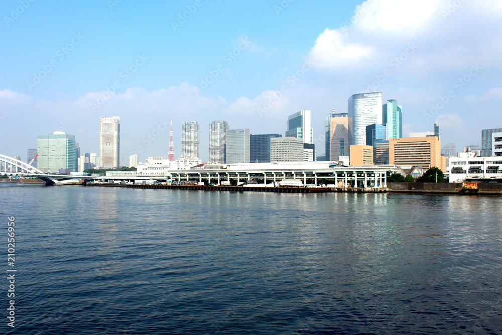 Tokyo building view from the kachidoki bridge, Tokyo, Japan