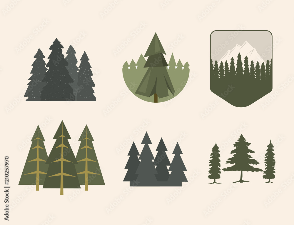 Tree outdoor travel pine silhouette coniferous natural tops pine spruce branch cedar plant leaf stem drawing vector illustration.