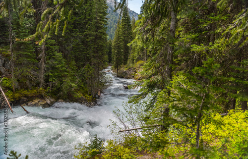 the rushing whitewater of the Lostine River in the Wallowa Mountains of northeast Oregon