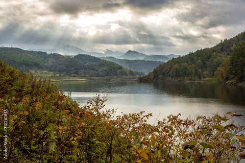 lake in the forest