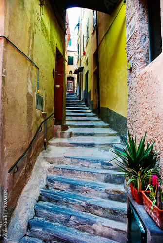 Vernazza Cinque Terre Stunning Alley 
