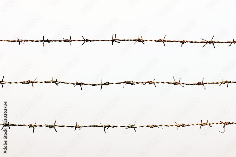 Rusty barbed wire detention center isolated on white Rusty barbed wire detention center isolated on white