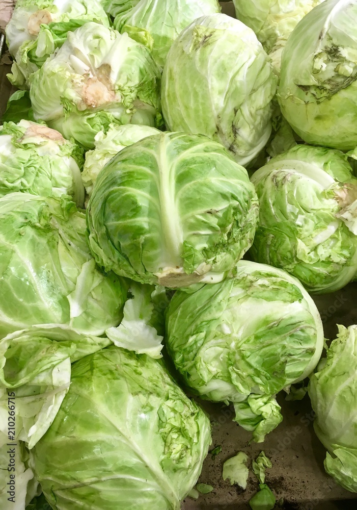 Fresh green cabbage Fresh green cabbage