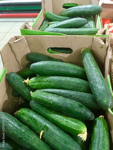 Fresh green cucumbers in boxes on the market counter