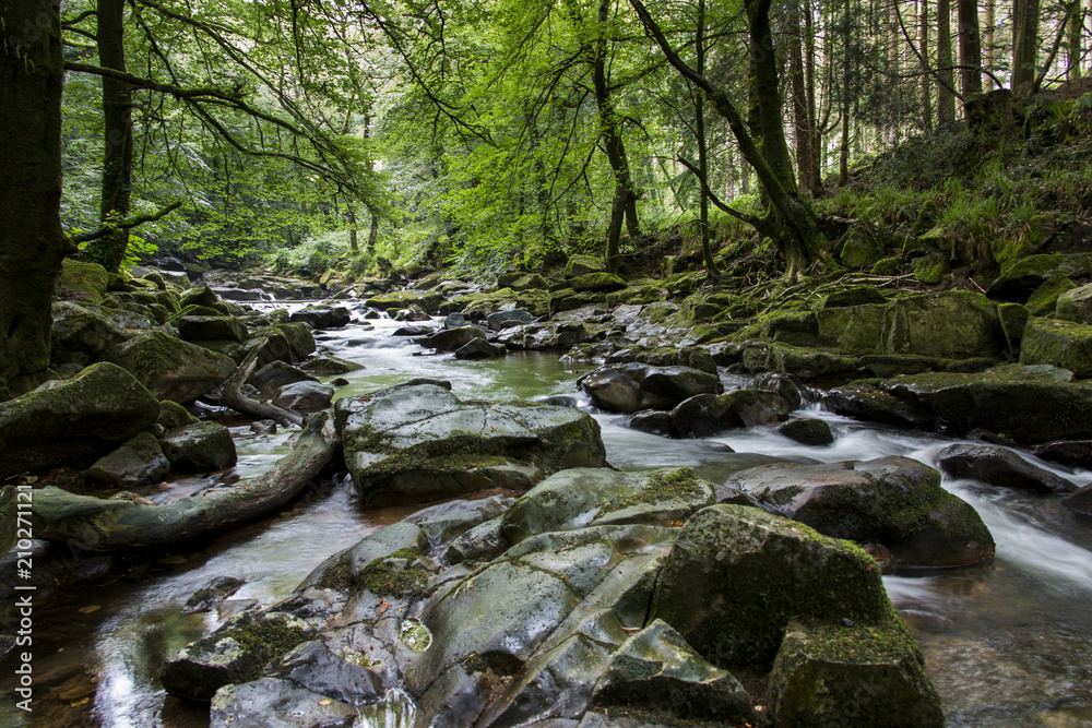 Waldfluss - Langzeitbelichtung Waldfluss - Langzeitbelichtung