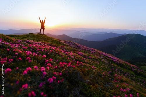 Hiker woman standing with hands up achieving the top. Girl welcomes a sun. Successful woman hiker open arms on sunrise mountain top. Magic pink rhododendron flowers on summer mountains
