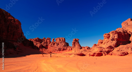 Landscape of sand dune and sandstone nature sculpture at Tamezguida in Tassili nAjjer national park, Algeria photo