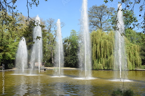 Bethmannweiher in Frankfurt