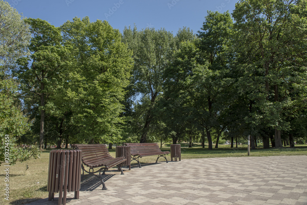 benches in the park