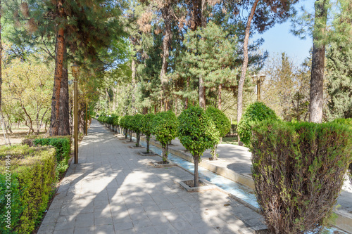 Fototapeta Naklejka Na Ścianę i Meble -  Eram Garden in Shiraz. Iran