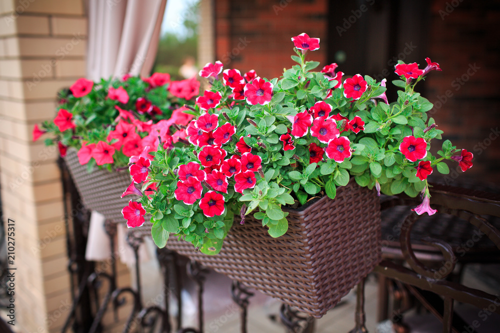 Fototapeta premium Landscape design and its elements in photography