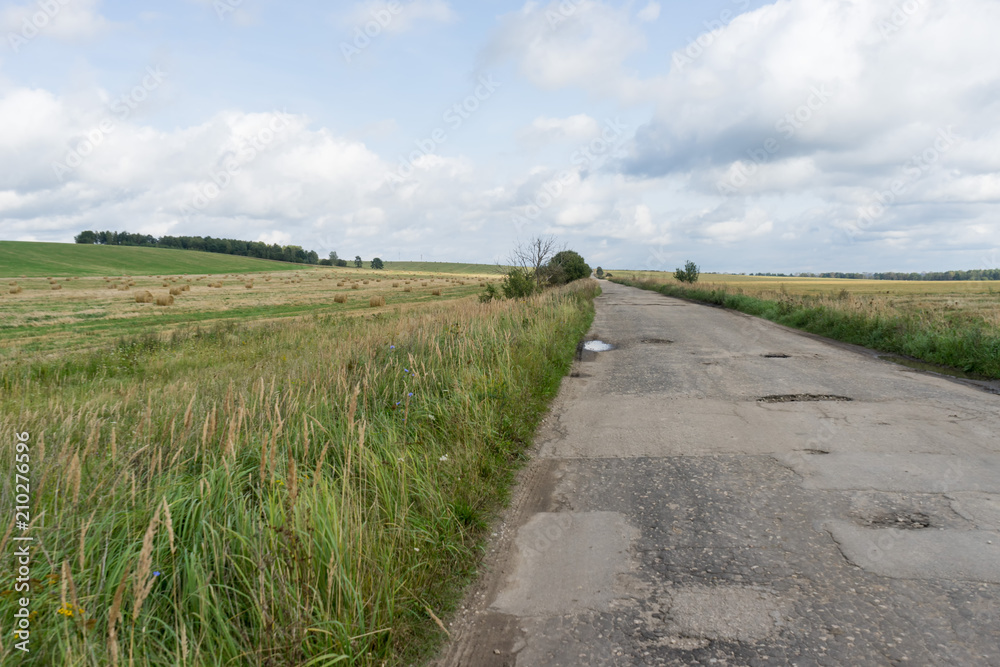 Vanishing worndown road through meadow with hay cocks 
