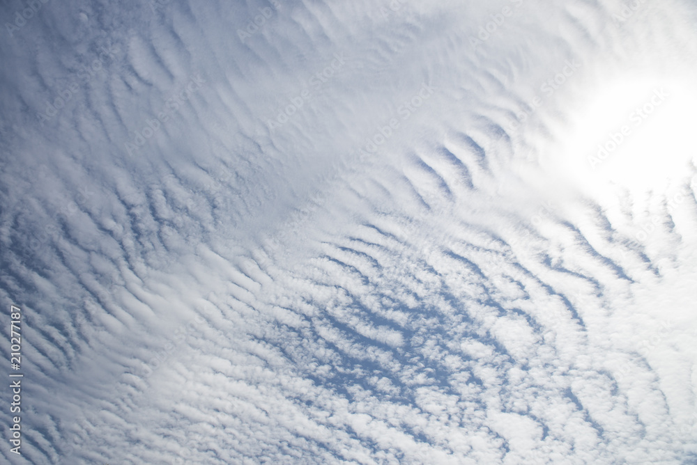 Obraz premium snow on the window