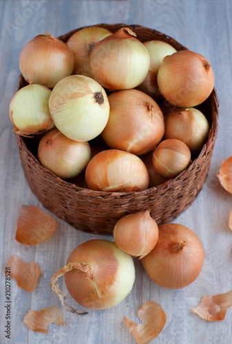 Onion bulbs in a large basket. View from above. Many onions in a wicker basket on a gray wooden background. Vegetables are scattered on the table.