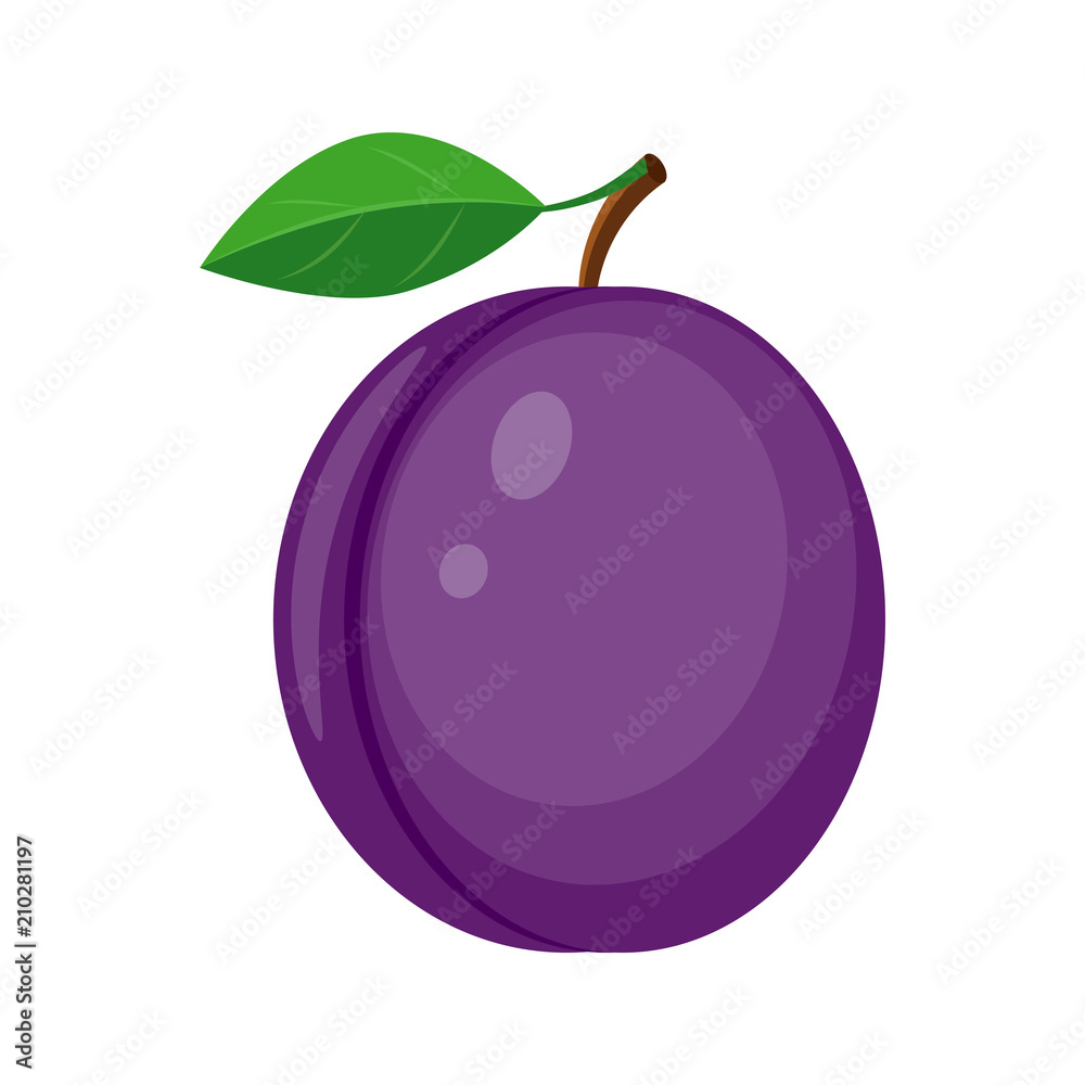 Colorful juicy plum with green leaf vector illustration isolated