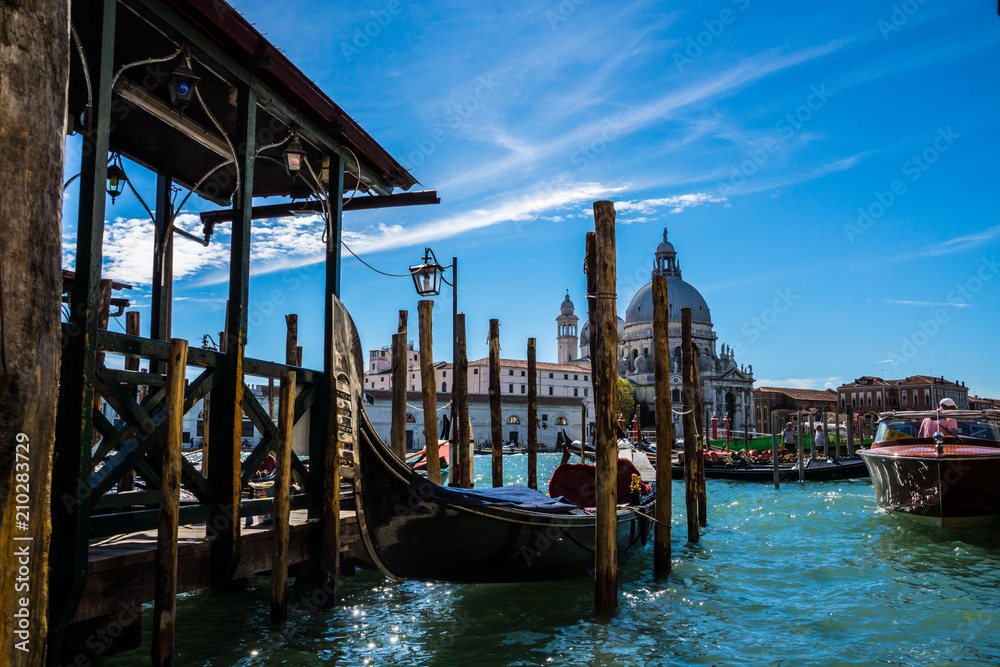 Venice dock