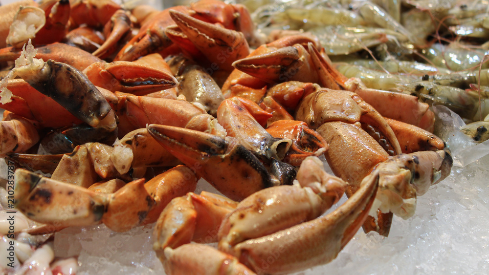 Crab Crab
