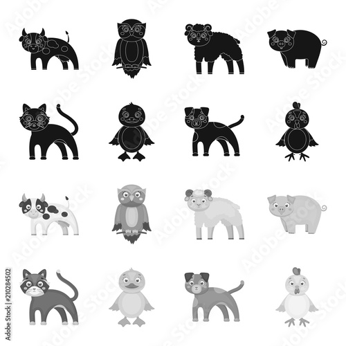 Entertainment, farm, pets and other web icon in black,monochrome style. Eggs, toy, recreation icons in set collection.