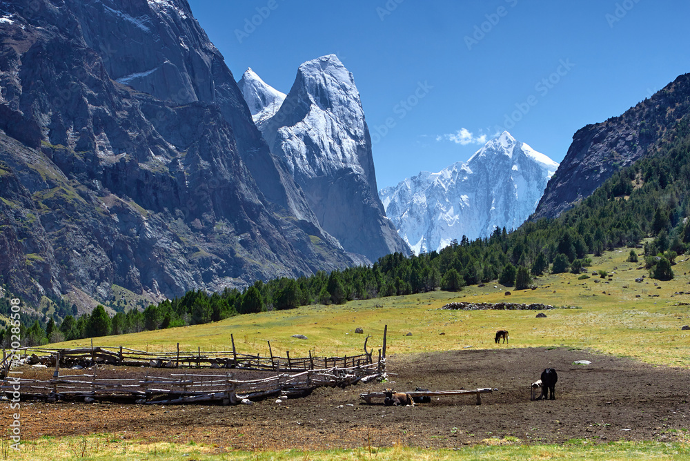 Mountains and glacier. snowy landscape peak and pass. outdoor view