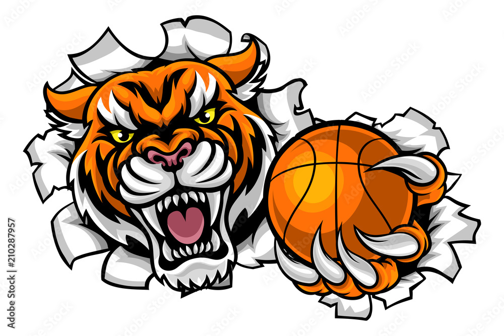 Fototapeta premium Tiger Holding Basketball Ball Breaking Background