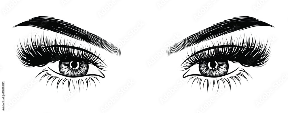 Hand-drawn woman's sexy makeup look with perfectly perfectly shaped eyebrows and extra full lashes. Idea for business visit card, typography vector. Perfect salon look Hand-drawn woman's sexy makeup look with perfectly perfectly shaped eyebrows and extra full lashes. Idea for business visit card, typography vector. Perfect salon look
