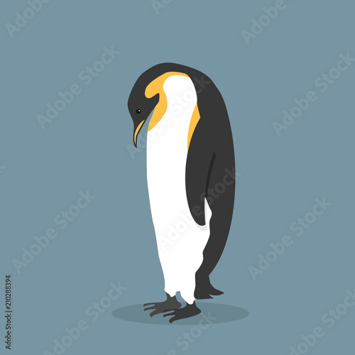 llustration of emperor penguin