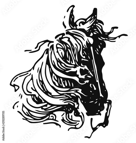 Horsehead - Equus  vector  isolated - Pferdekopf