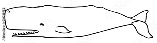 sperm whale #vector #isolated Pottwal