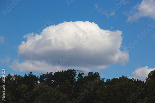 Sommerliche Cumuluswolken türmen sich über einem Waldstück. © rubrafoto