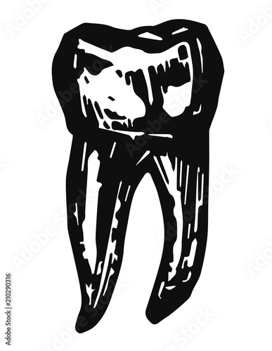 tooth #vector #isolated Zahn
