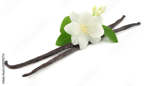 Vanilla sticks with white flower isolated on white background